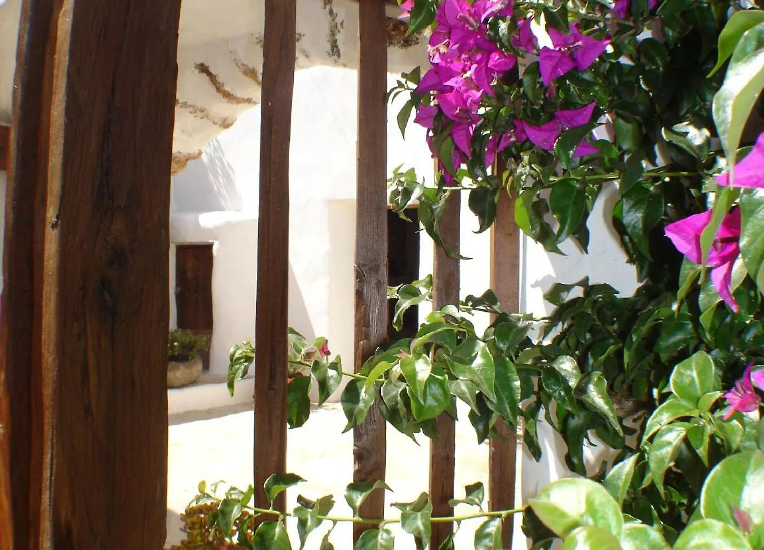 סאנט מיגל דה באלאנסט Agroturismo Can Pardal