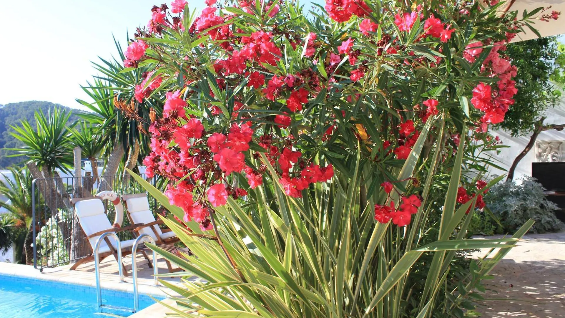 סאנט מיגל דה באלאנסט Agroturismo Can Pardal בית חווה סאנט מיגל דה באלאנסט